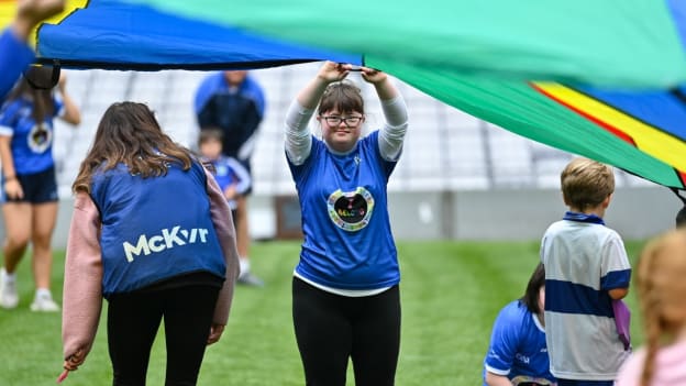 Skerries Harps All-Stars pictured at the recent All-Stars Inclusive Day in Croke Park. 