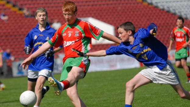 Féile 2014 Confirmed