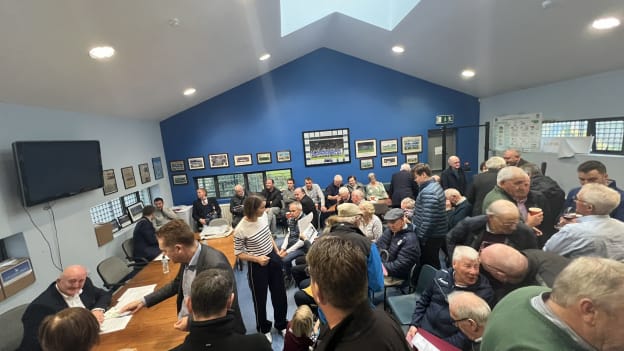 The book was launched in October at St Michael's GAA clubhouse.